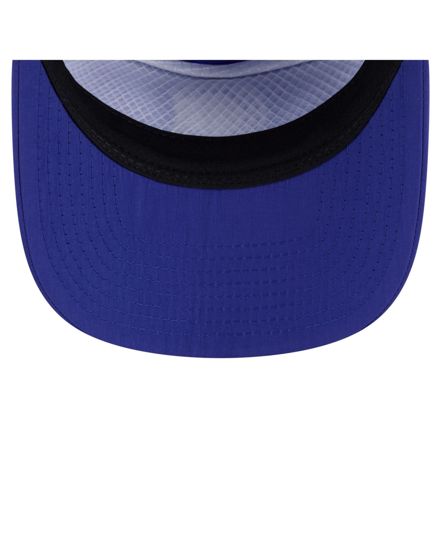 Men's Royal Chicago Cubs Everyday 19TWENTY Adjustable Hat
