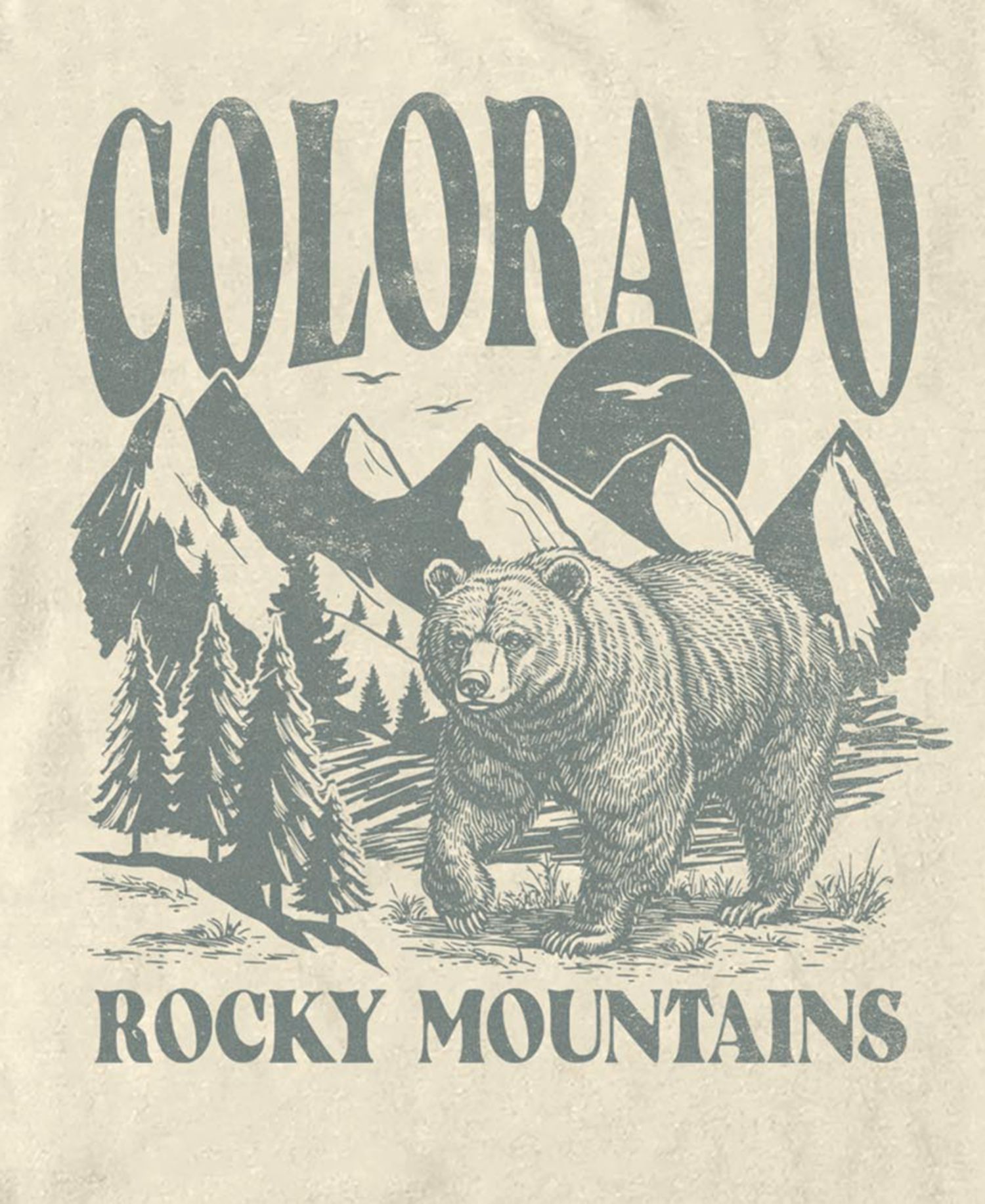 Men's Generic Rocky Mtns Bear T-Shirt