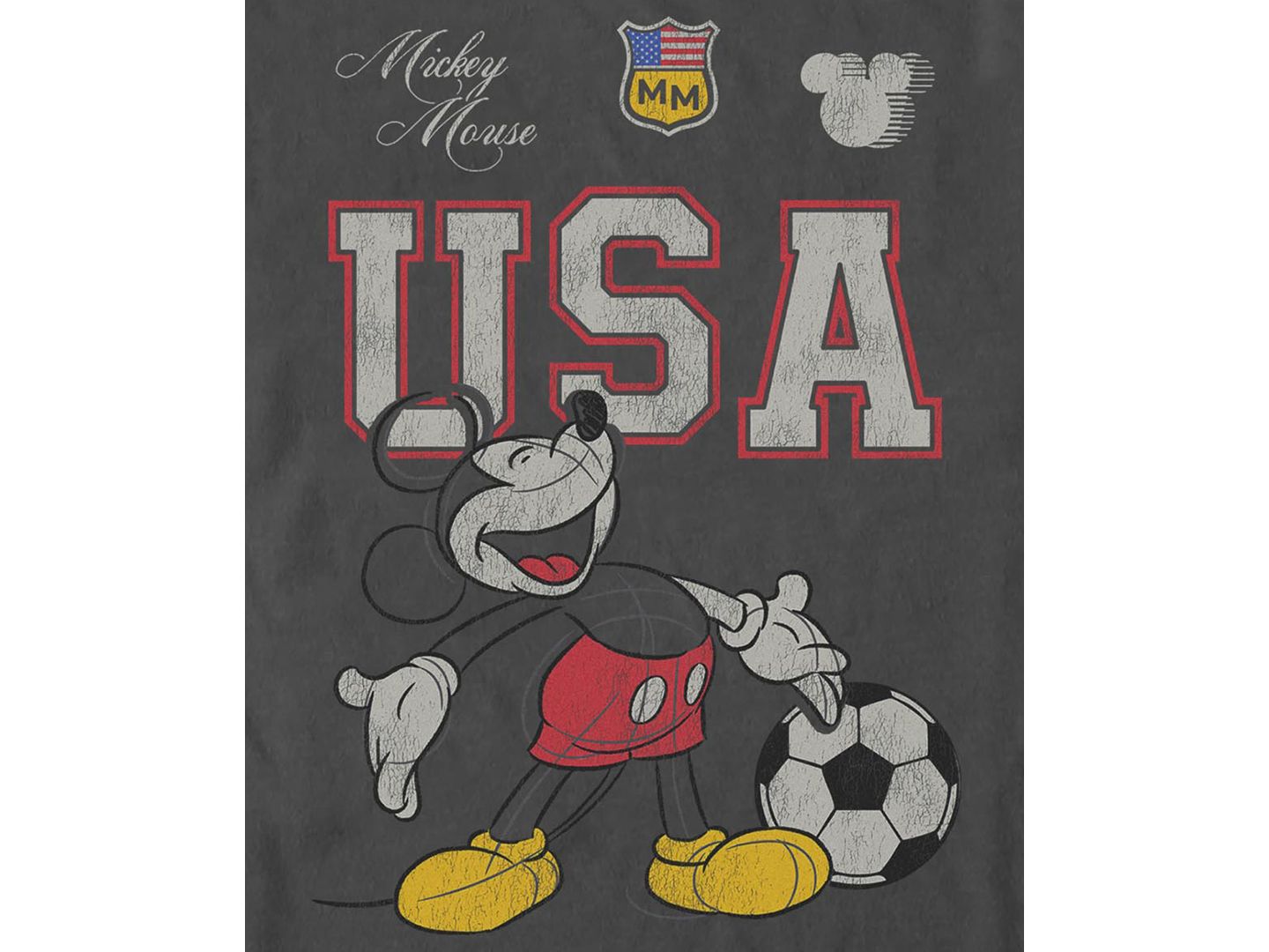 Мужская футболка Fifth Sun Mickey In The USA Graphic, цвет: Угольный — фото 3