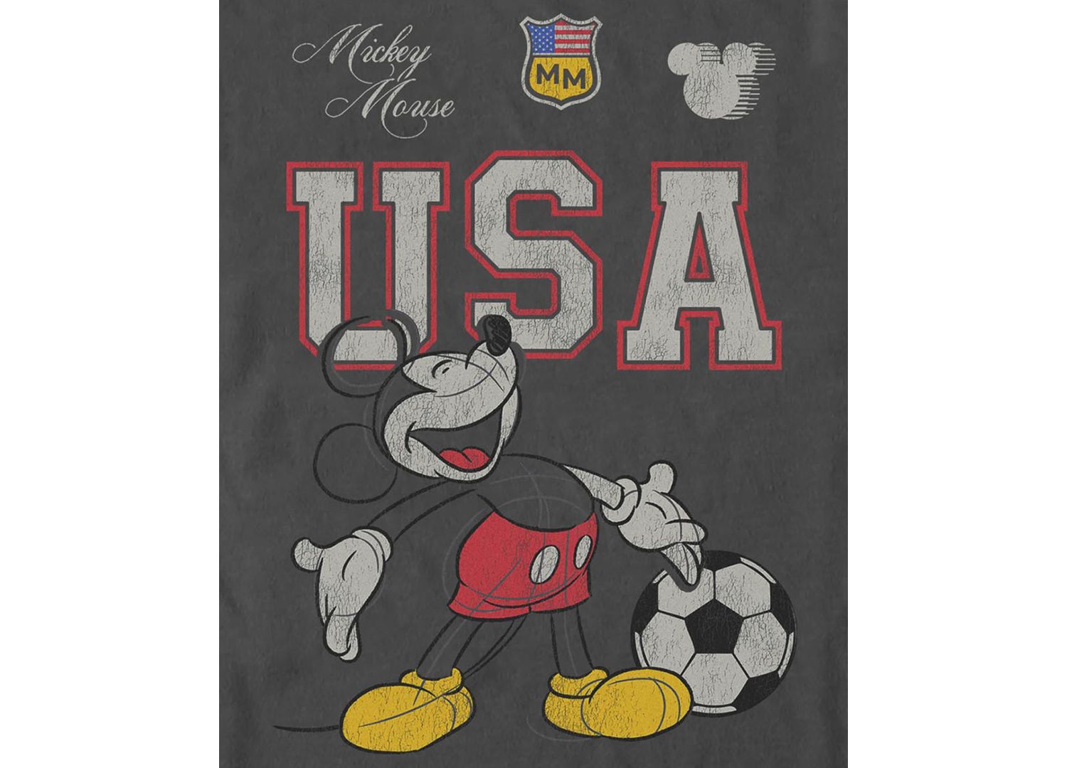 Men's Mickey In The USA Graphic T-Shirt