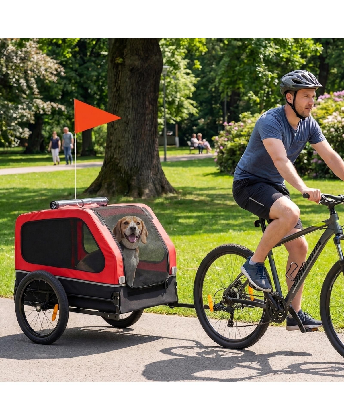 Ruie Dog Bike Trailer for Small and Medium Dogs with Flip-Down Ramp Tailgate