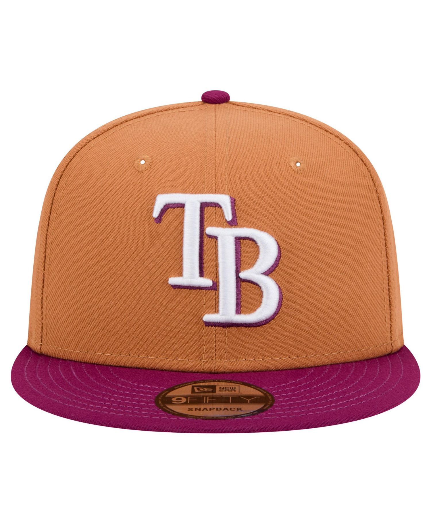 Men's Brown/Purple Tampa Bay Rays Color Pack Two-Tone 9FIFTY Snapback Hat