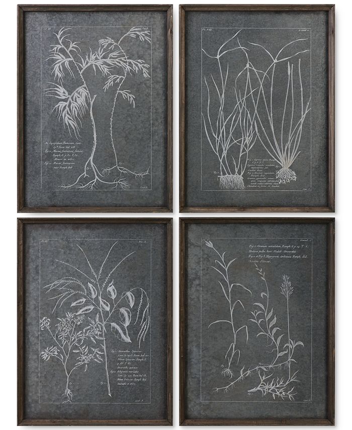 Uttermost - Root Study 4-Pc. Print Wall Art
