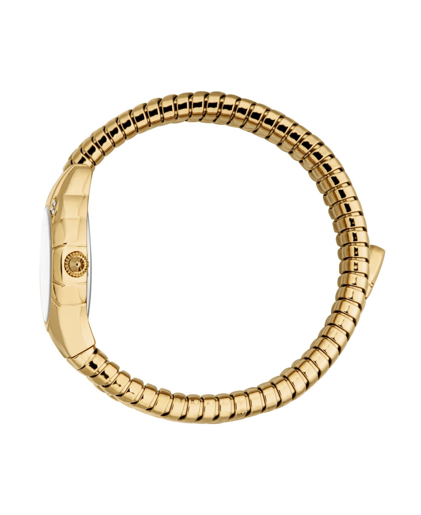 Женские часы Just Cavalli Amanta Quartz IP Stainless Steel Bracelet Watch, цвет: Золотой — фото 2