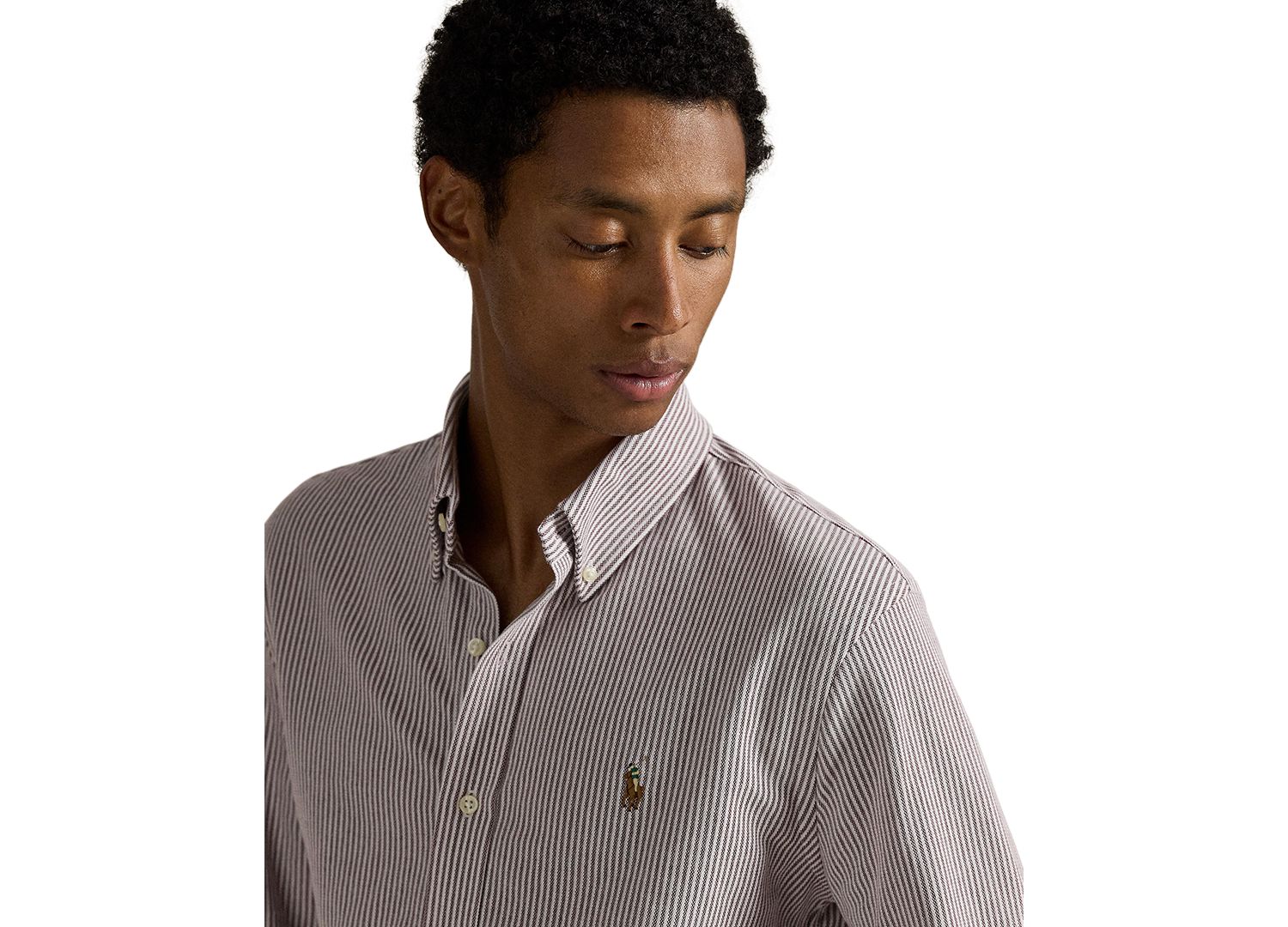 Men's Striped Knit Oxford Shirt