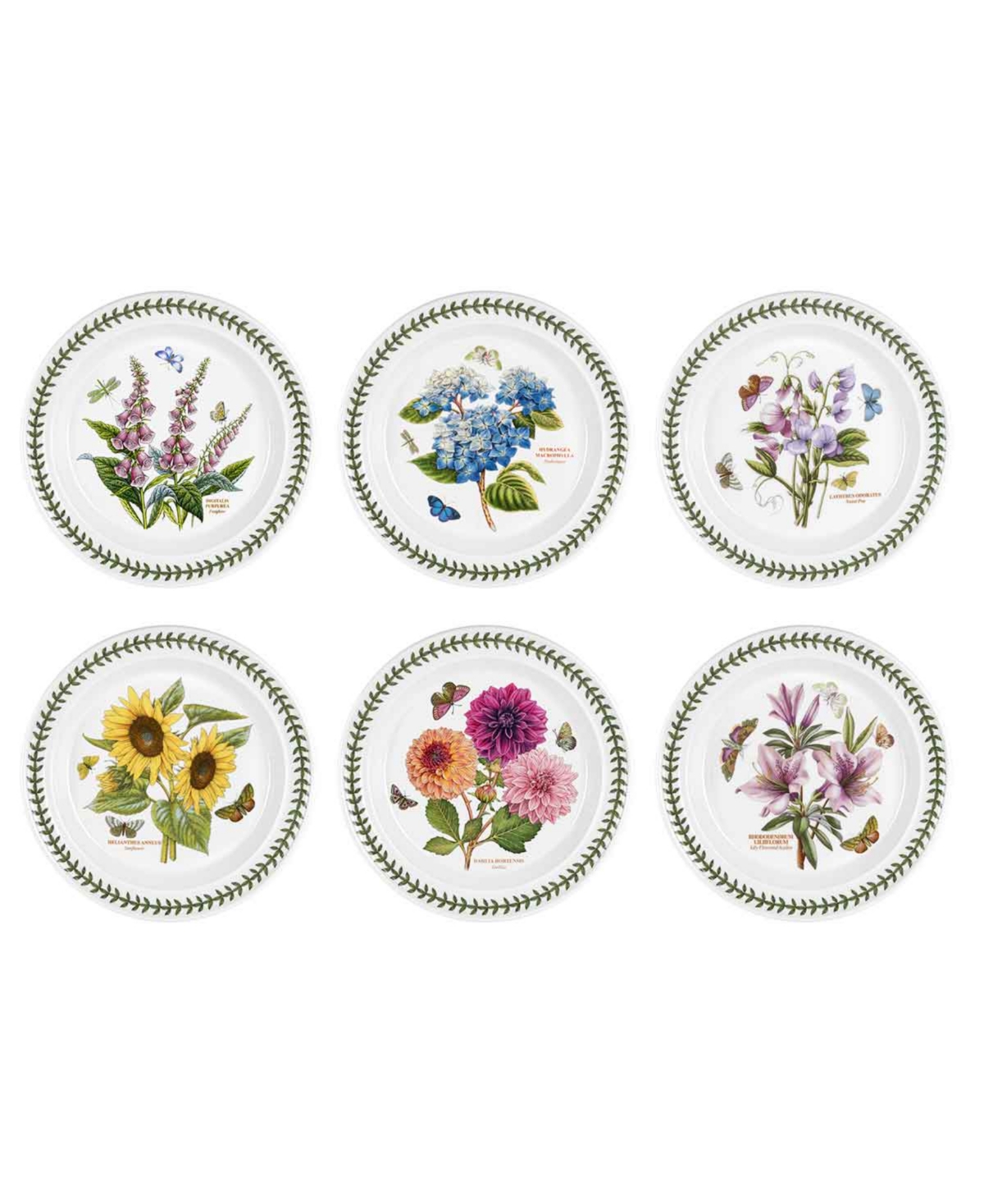 Portmeirion Botanic Garden Assorted Dinner Plates, Set of 6
