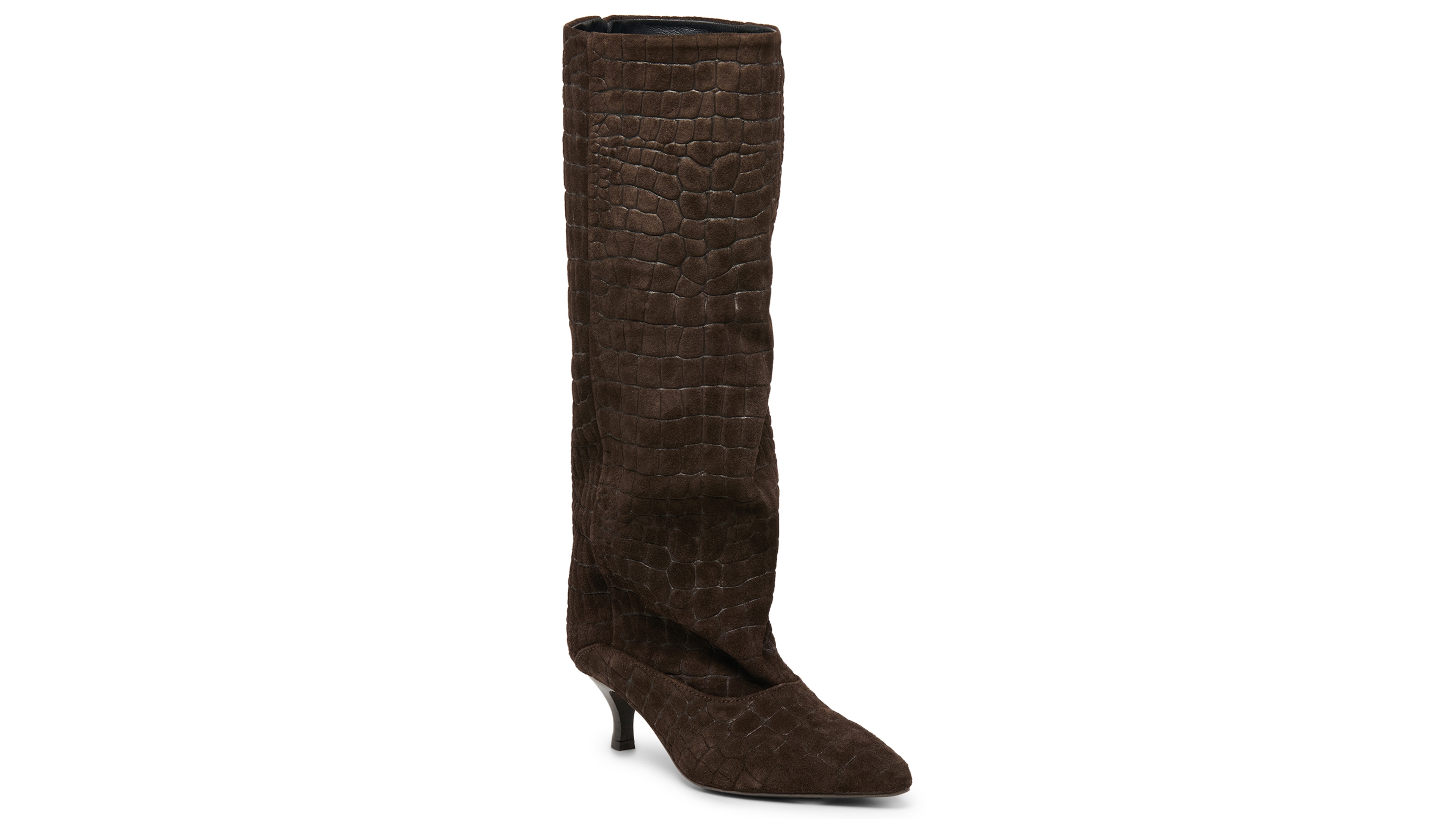 Dolce Vita Women's Roxy Snake Embossed Slouch Tall Dress Boots