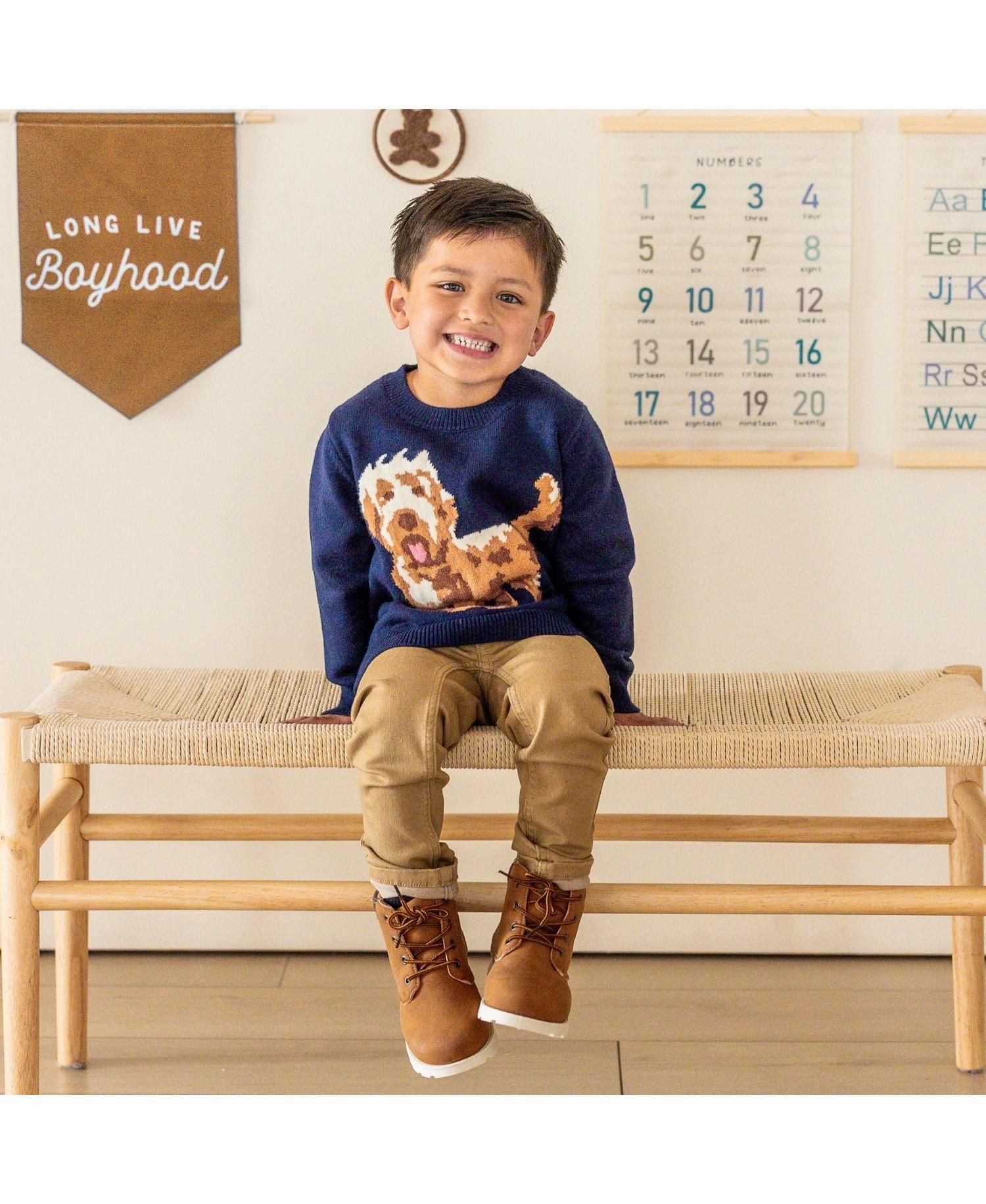 Little Boys Vintage Puppy Sweater