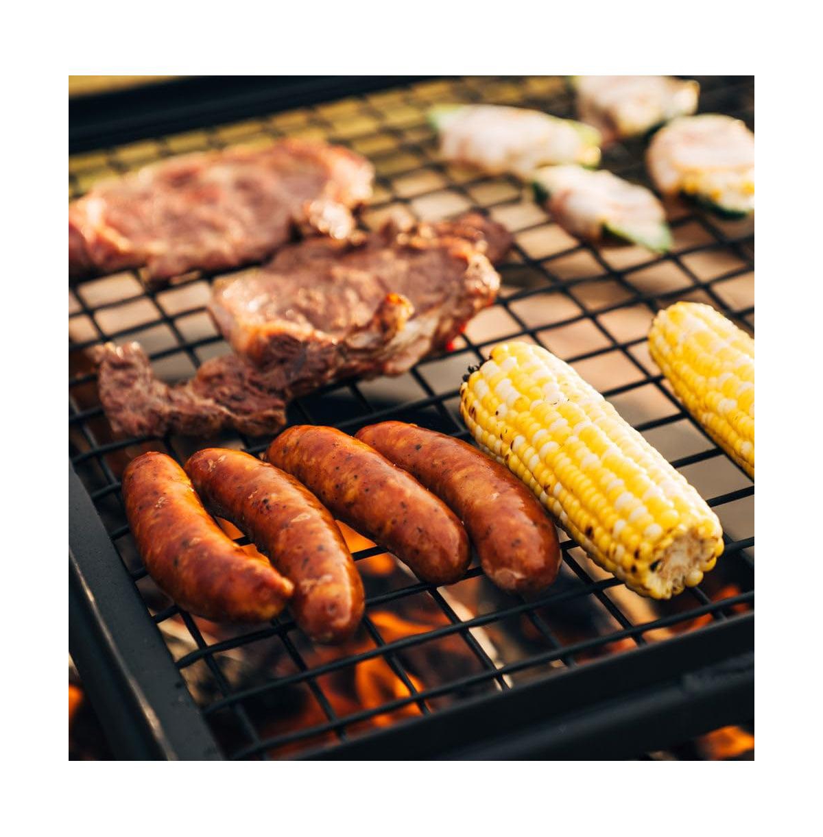 Piscifun Adjustable Swivel Steel Mesh Grill Grate With Spike Pole Portable Open Fire Camping Bbq