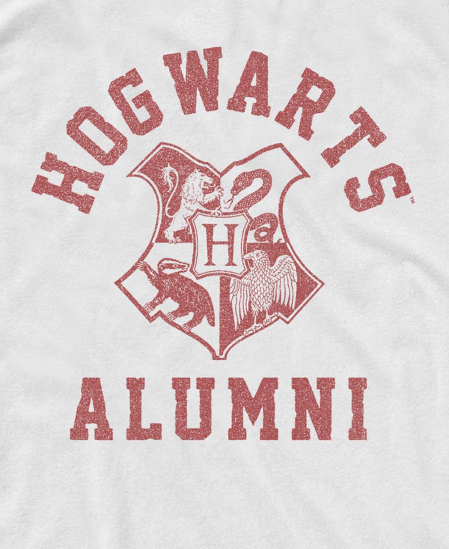 Men's Harry Potter Hogwarts Alumni Crest Graphic Tank Top