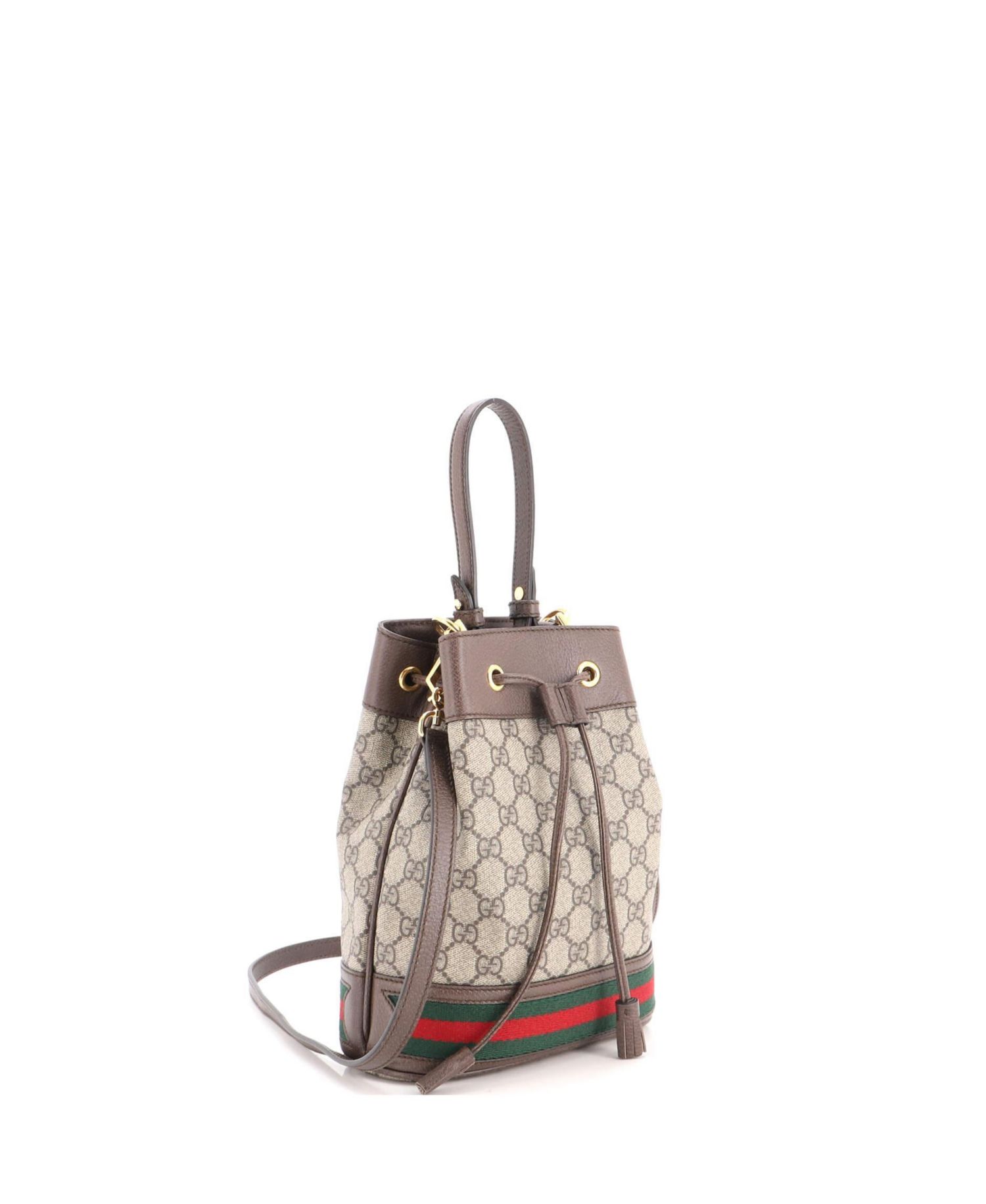 Small Ophidia Bucket Bag GG Coated Canvas