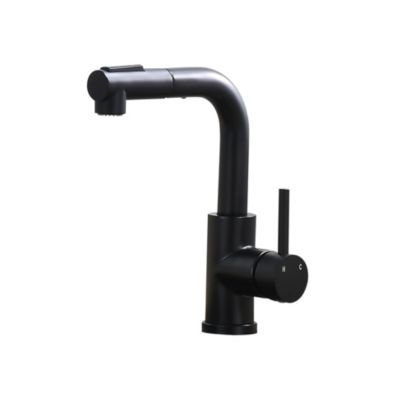 Single Handle Pull-Out Kitchen Faucet, Stainless Steel with Dual-Function Sprayer and 360degree(s) Swivel