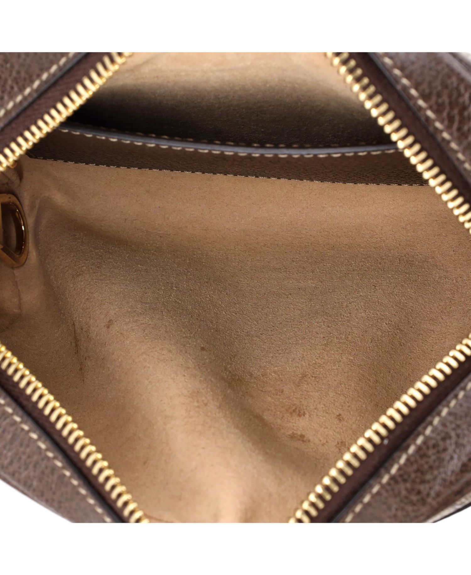 Mini Ophidia Shoulder Bag GG Coated Canvas