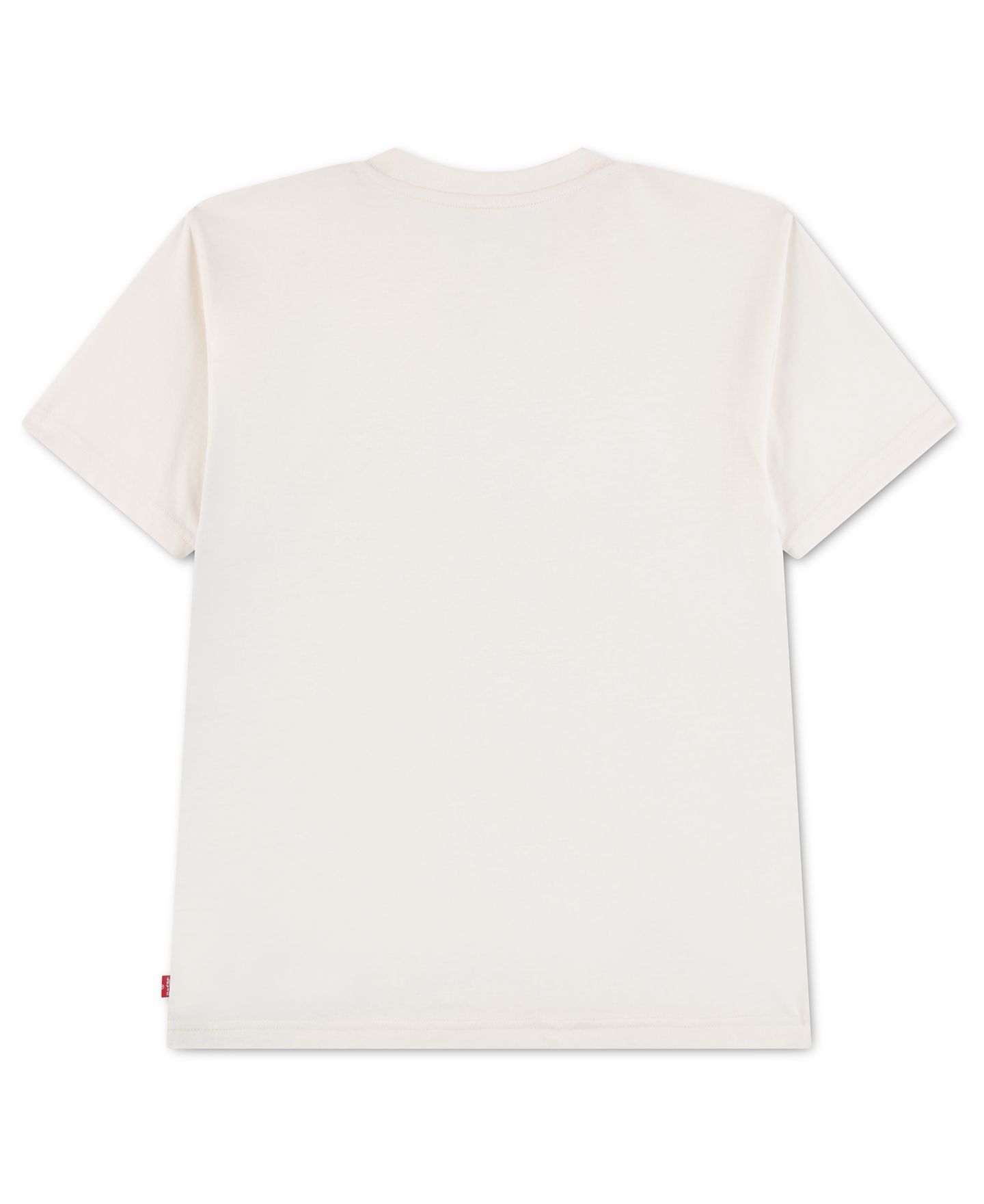 Футболка Levi's Zooming by Graphic Short-Sleeve для мальчиков, цвет: Levi's Egret — фото 2
