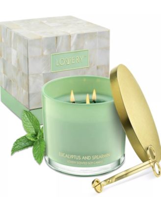 Eucalyptus and Spearmint Home Candle Gift Set and Wax Trimmer, 2-Pisces. Soy Candles