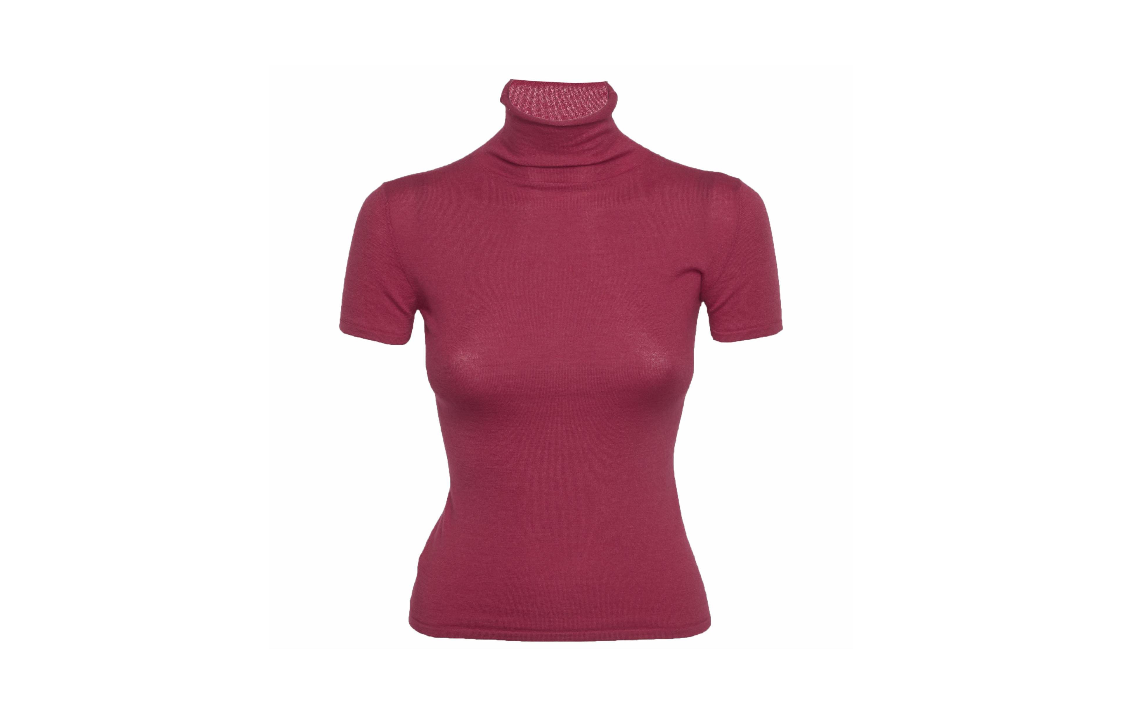 Pre-Owned Brunello Cucinelli Women's Stretch Knit Short-Sleeve Turtleneck Top