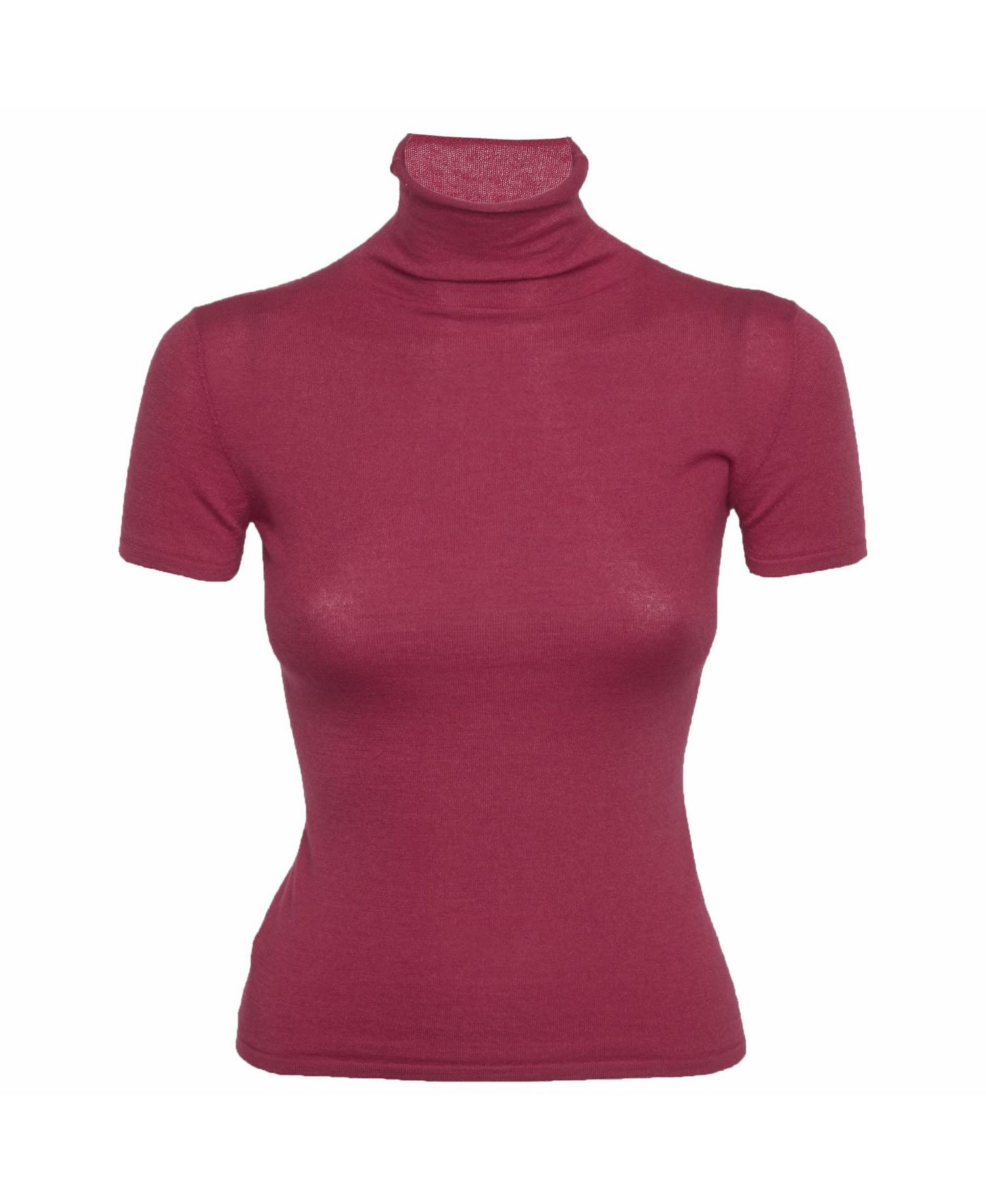 Women's Stretch Knit Short-Sleeve Turtleneck Top