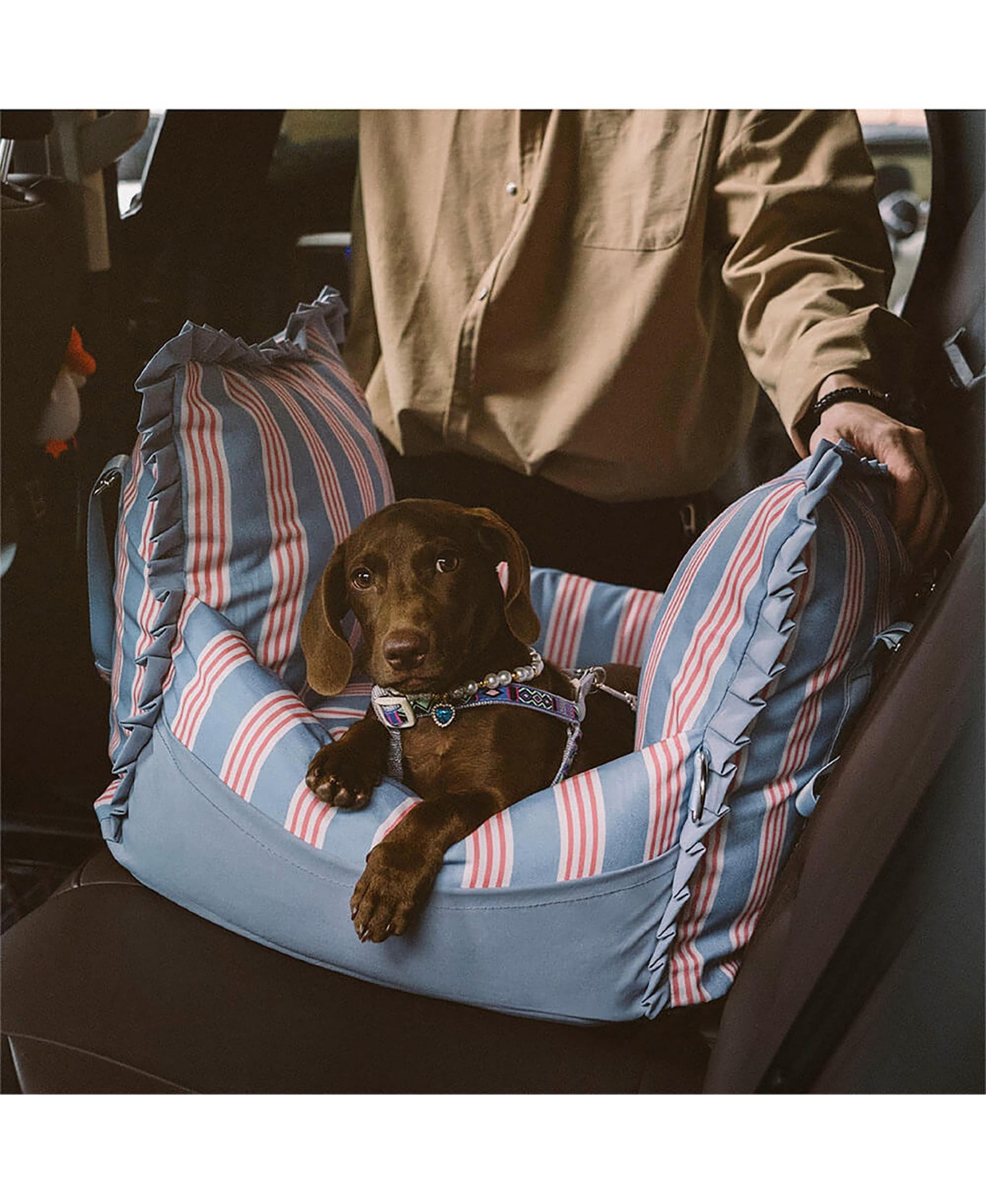 FunnyFuzzy First Class Waterproof Dog Car Single-Seat Bed