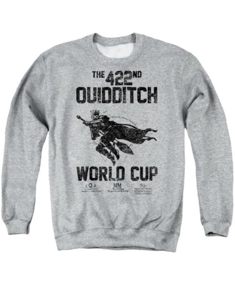 Мужская толстовка Harry Potter Big & Tall Quidditch World Cup Graphic-Crewneck, цвет: Меланжевый