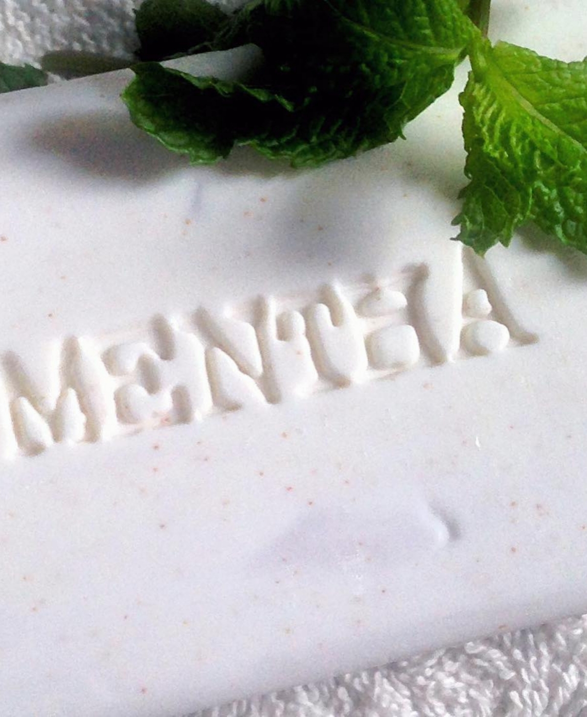 C.o. Bigelow Mentha Exfoliating Bar Soap, 7 oz.