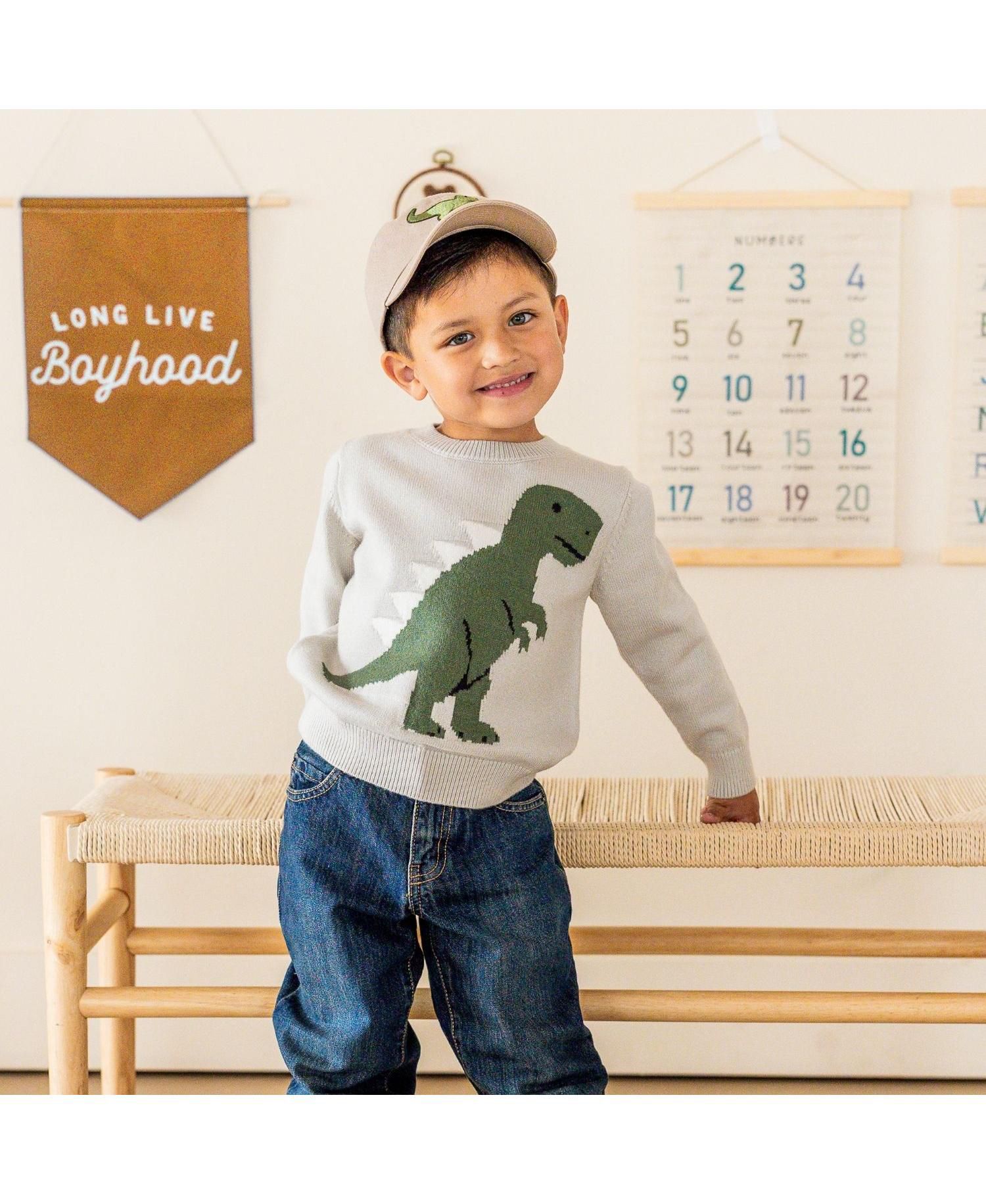 Little Boys Dinosaur Sweater