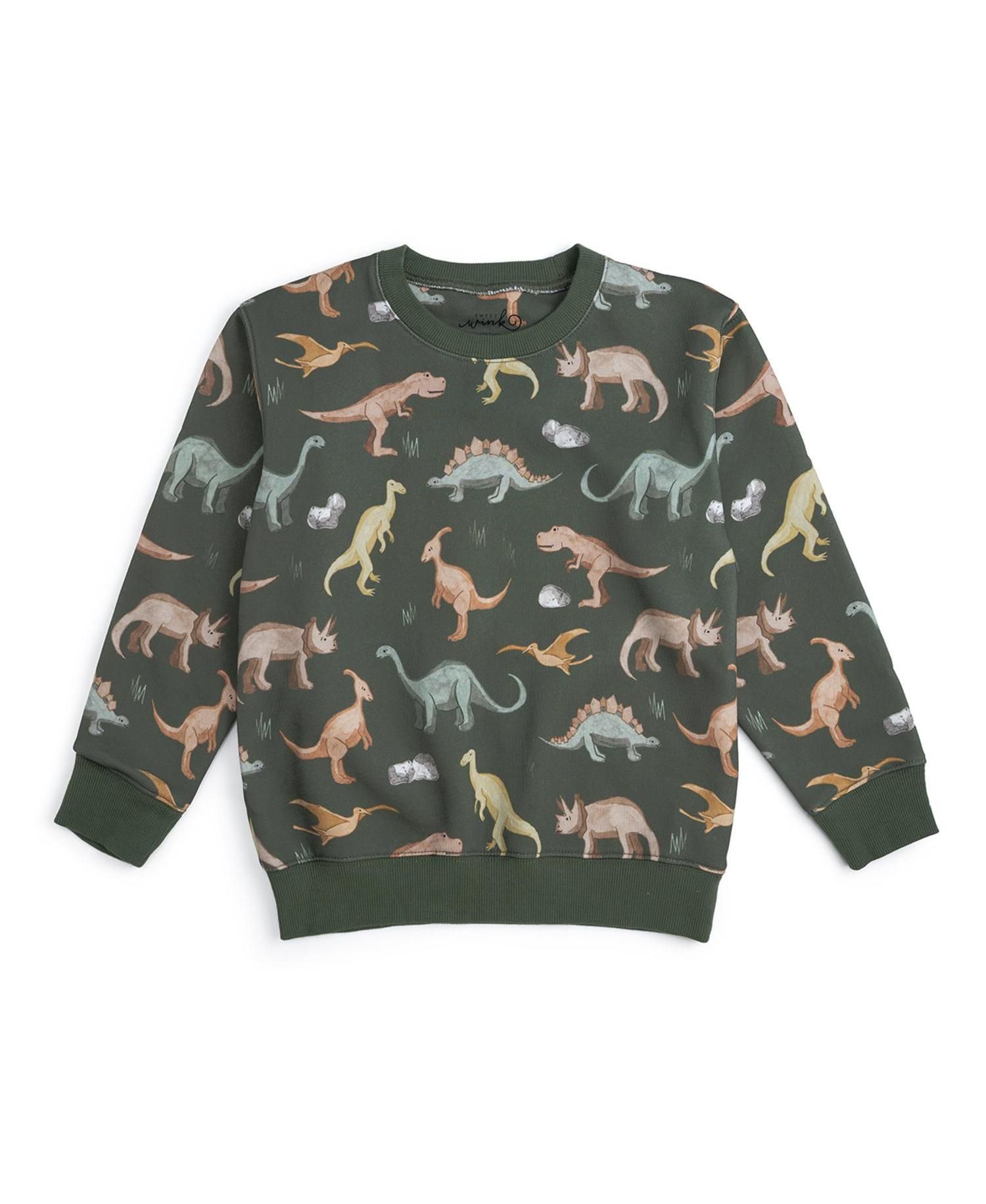 Big Boys (10-12) Dinosaurs Rock Sweatshirt