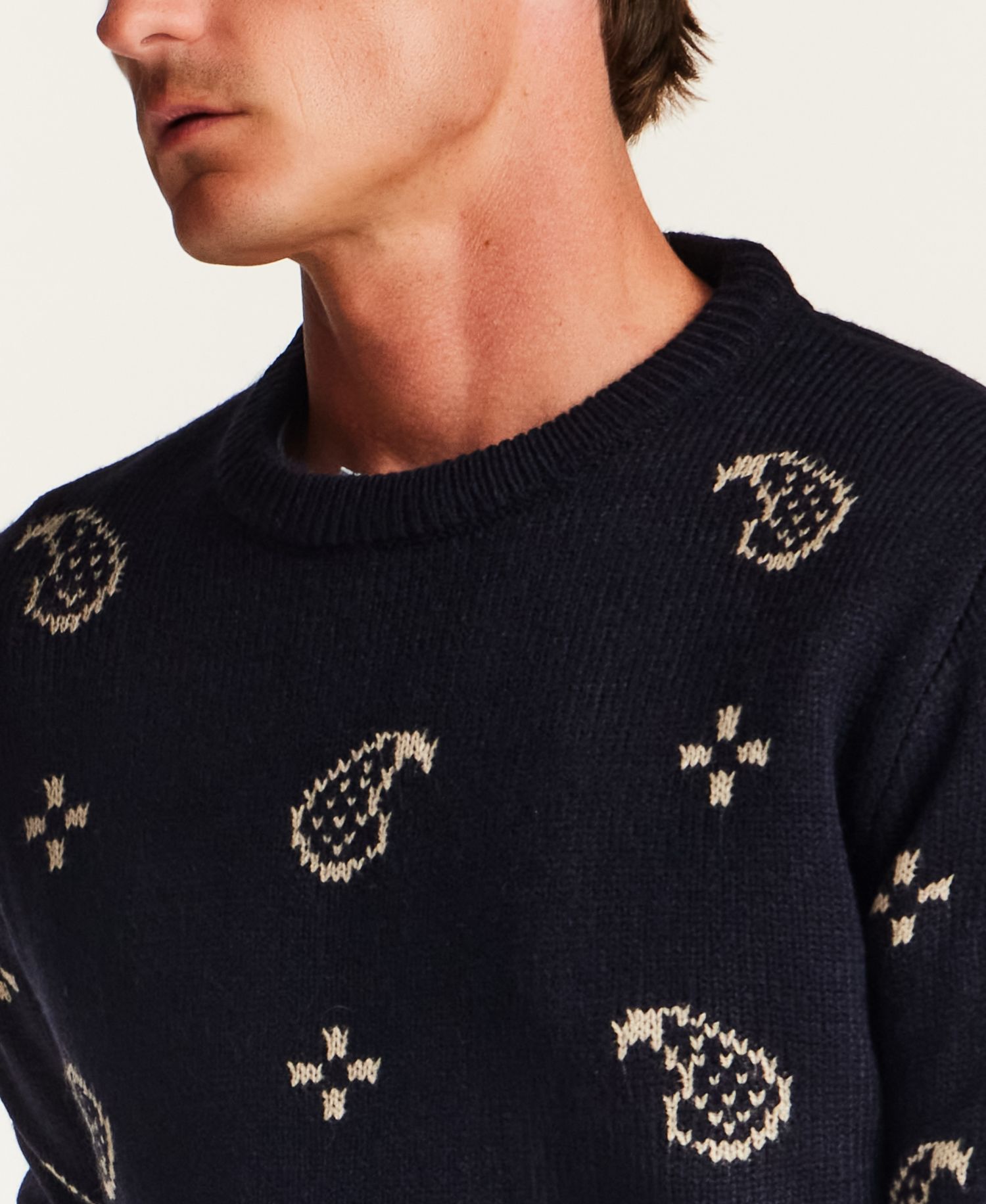 Men's Chunky Paisley Crew Neck Sweater