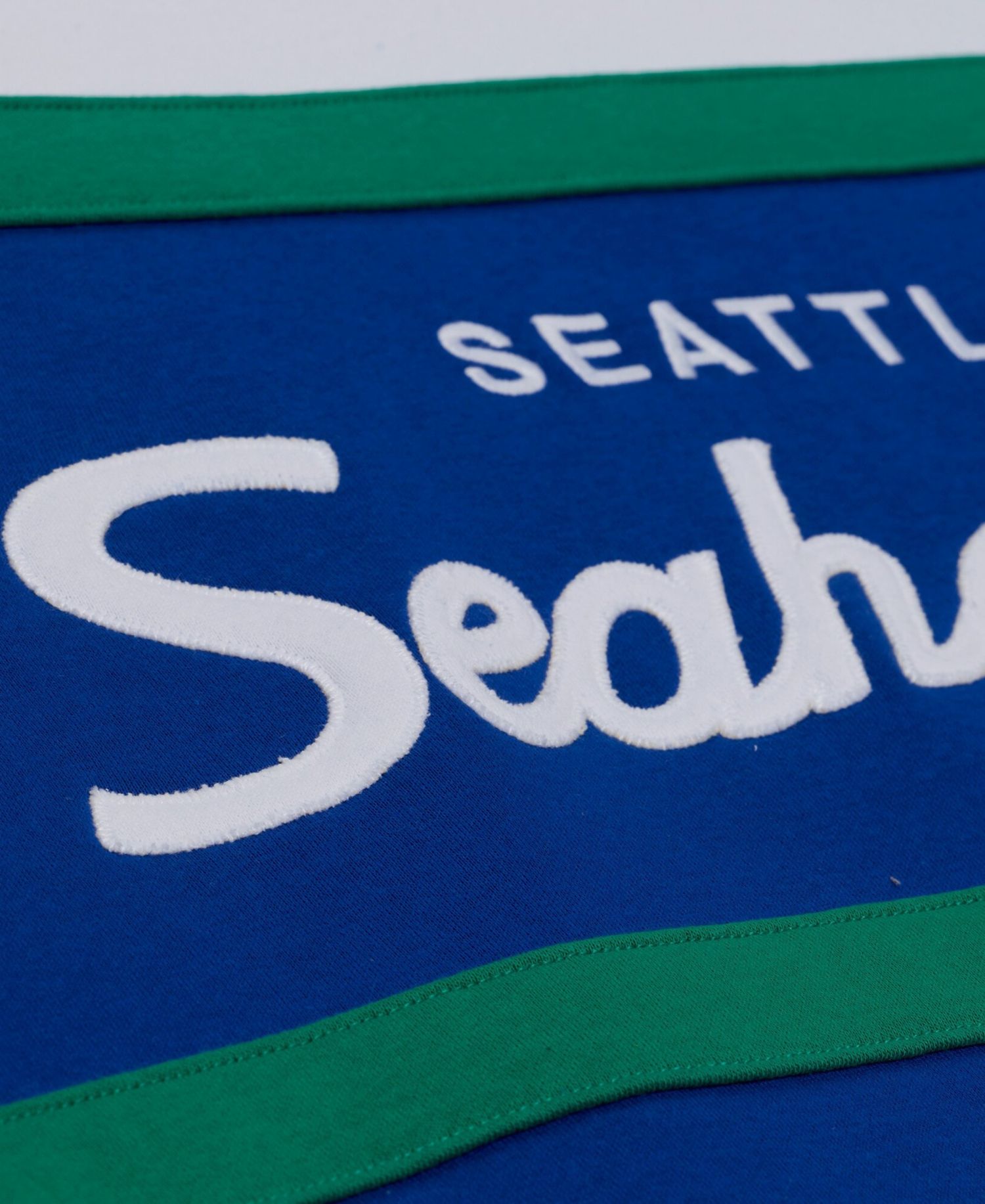 Men's Seattle Seahawks Head Coach Hoodie