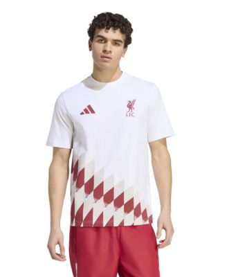 Men's Liverpool FC Stadium Graphic T-Shirt