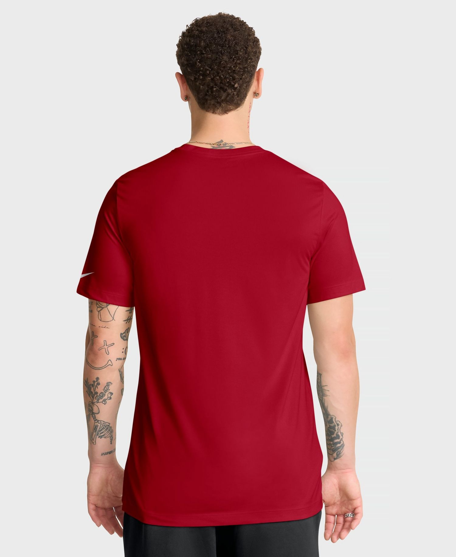 Men's Houston Texans Legend Icon Regular Fit T-Shirt