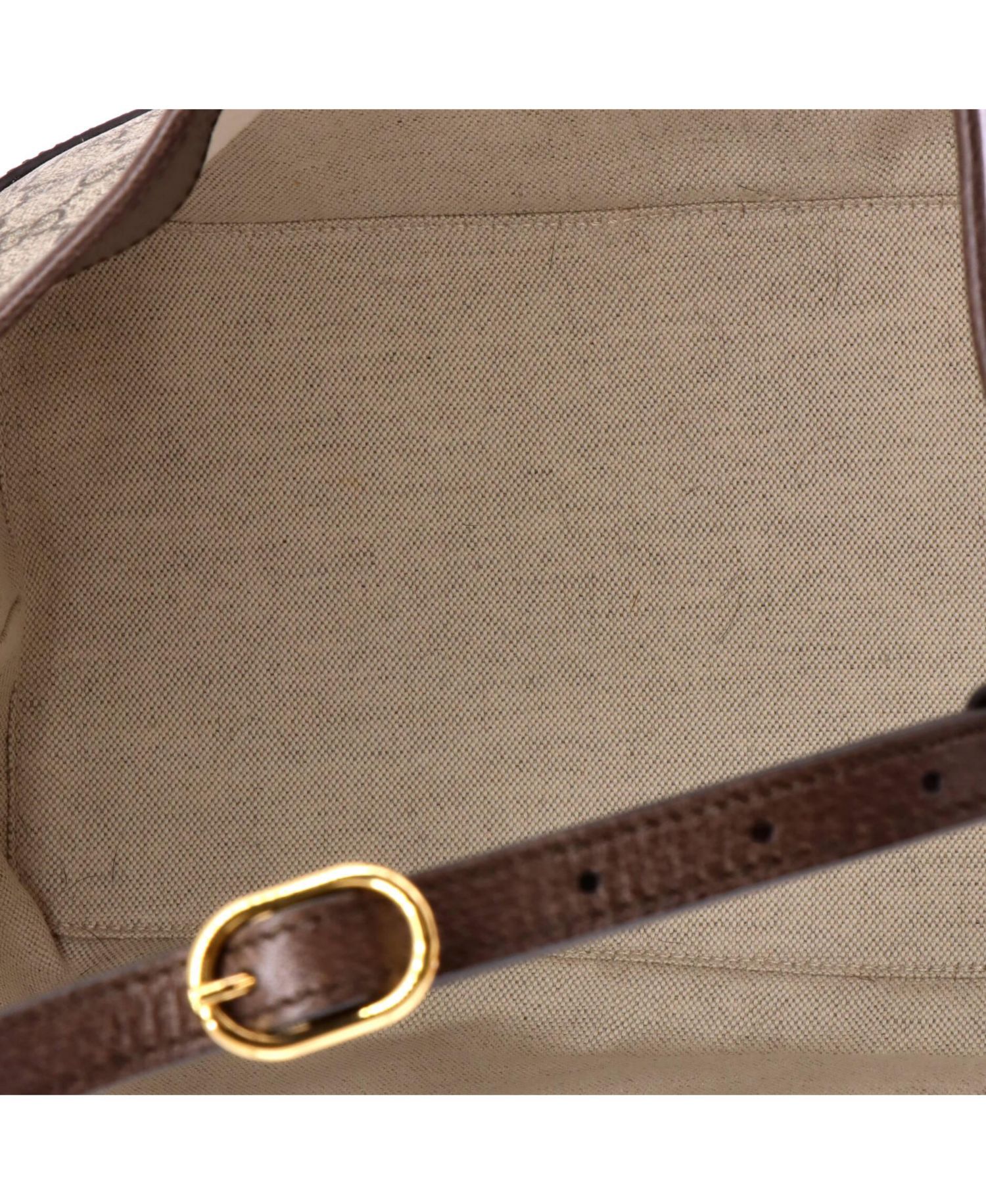 Large Ophidia Hobo Bag GG Coated Canvas