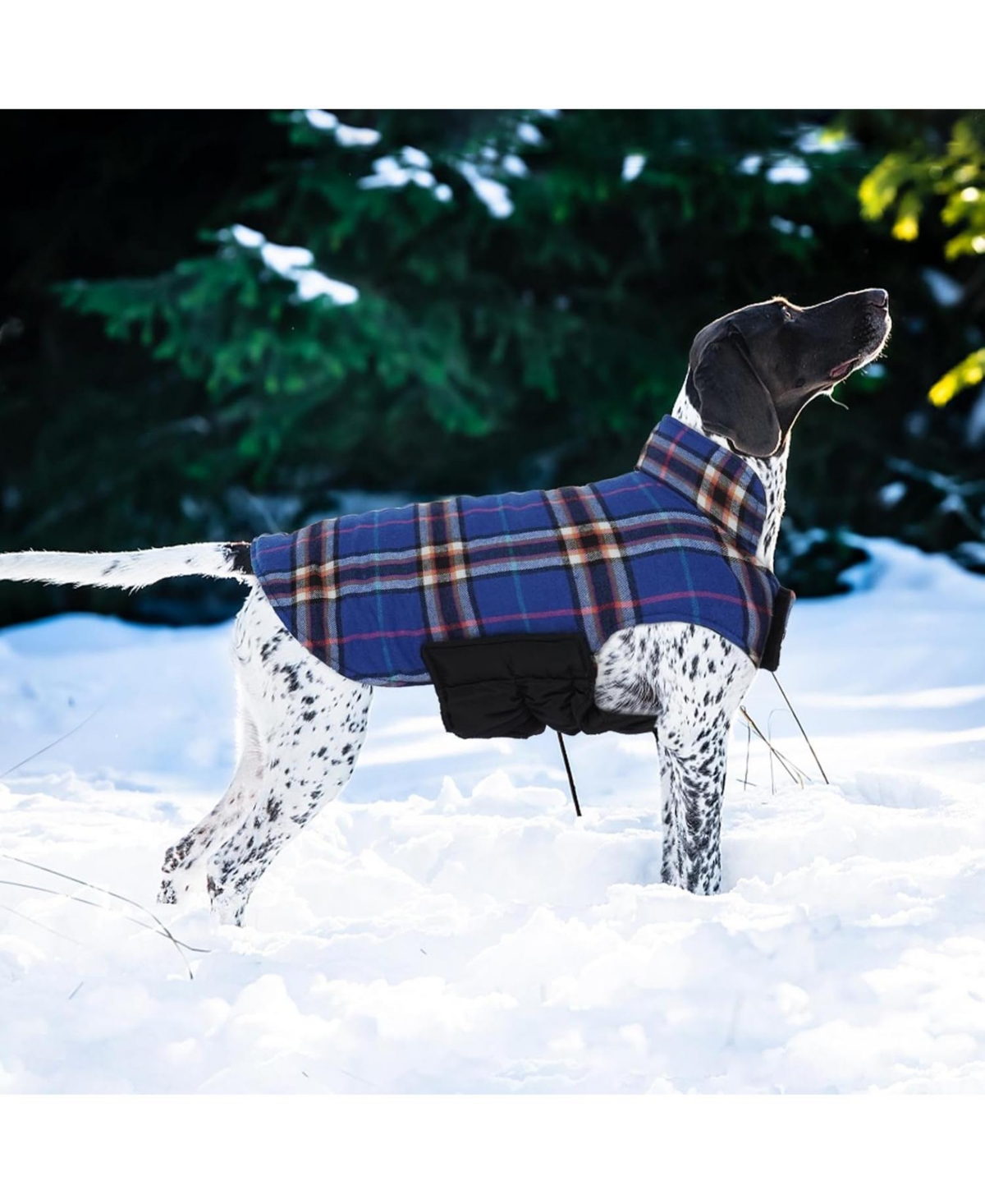Reversible Waterproof Fleece-Lined Dog Jacket with Leash Access for Cold Weather