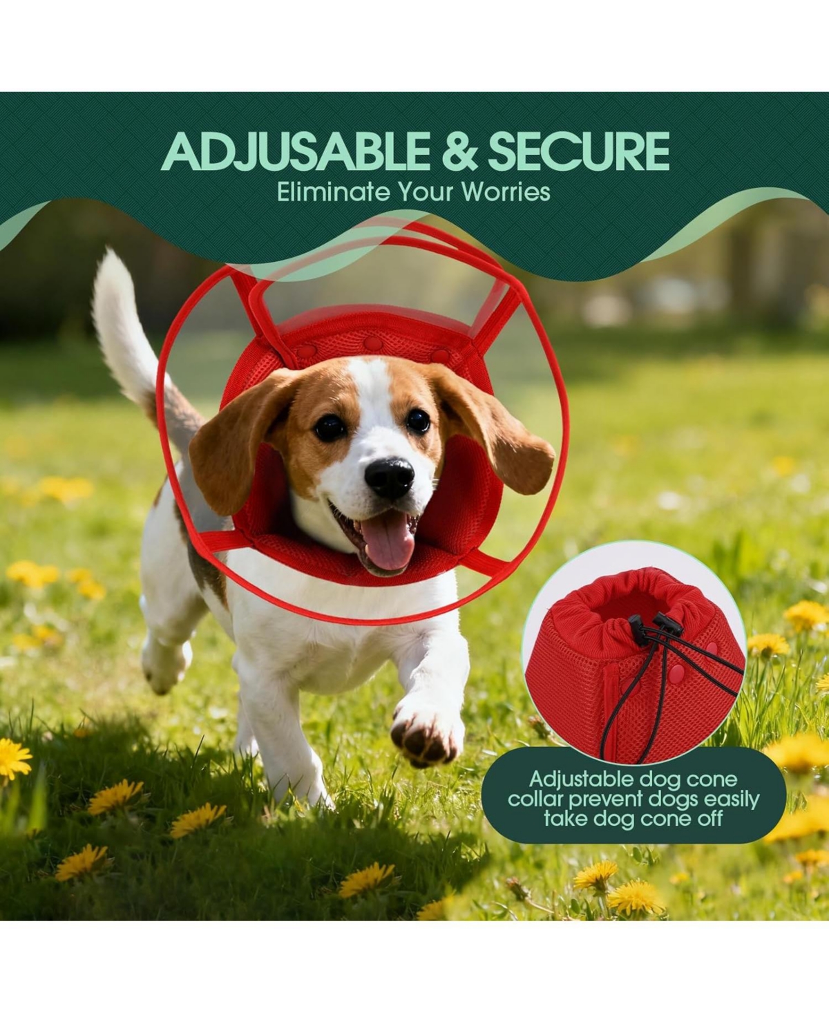 Soft Double-Layer Mesh and Transparent Pvc Recovery Cone Collar for Dogs