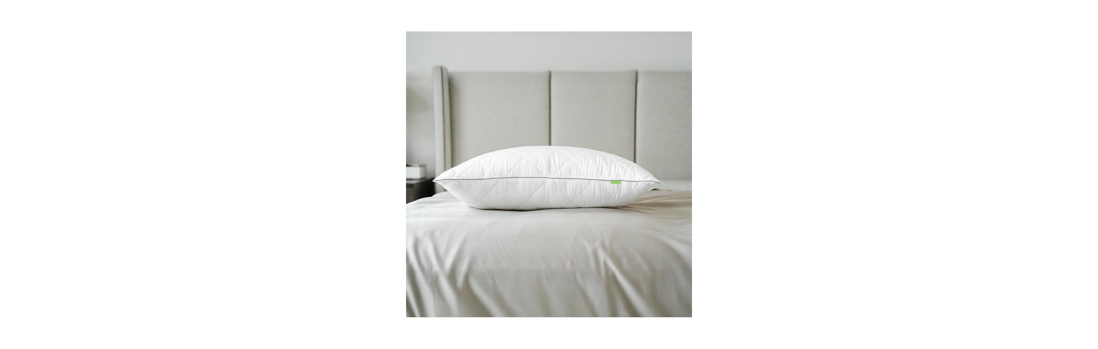 Cariloha Down Feather Pillow