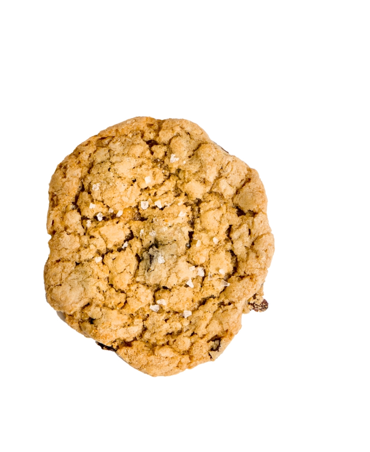 Salt of the Earth Bakery Fresh Baked Oatmeal Rasin Cookies Gourmet Boxes, 16-Piece