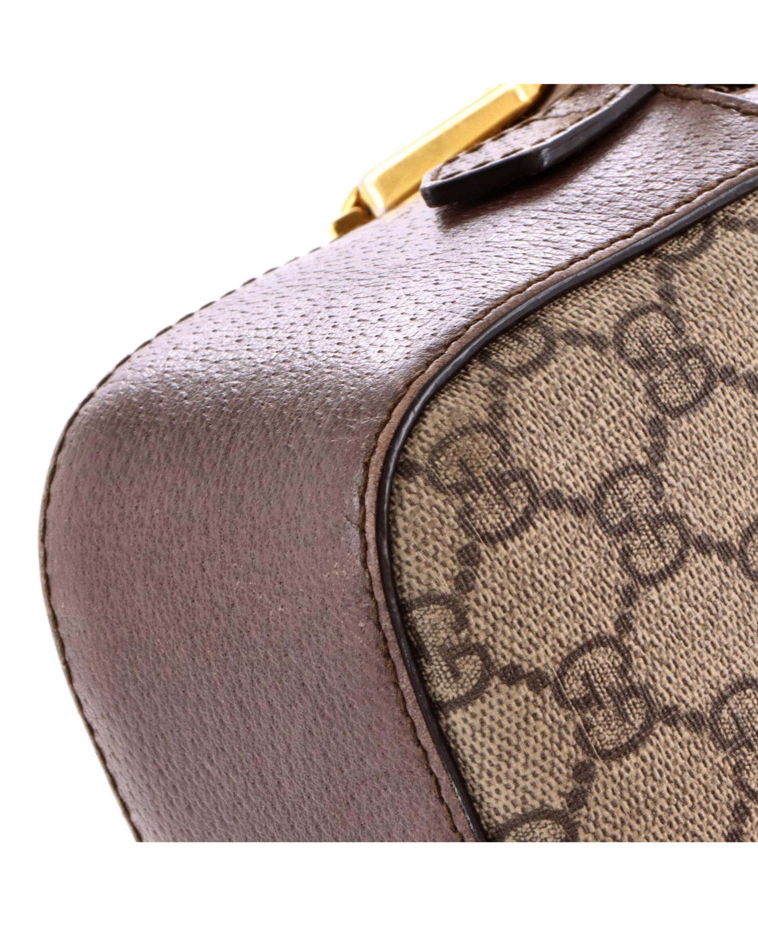 Neo Vintage Camera Messenger Bag GG Coated Canvas