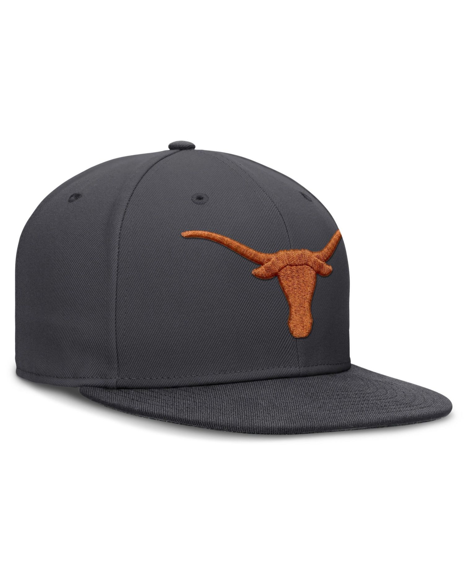 Men's Anthracite Texas Longhorns Pro Dri-FIT Fitted Hat