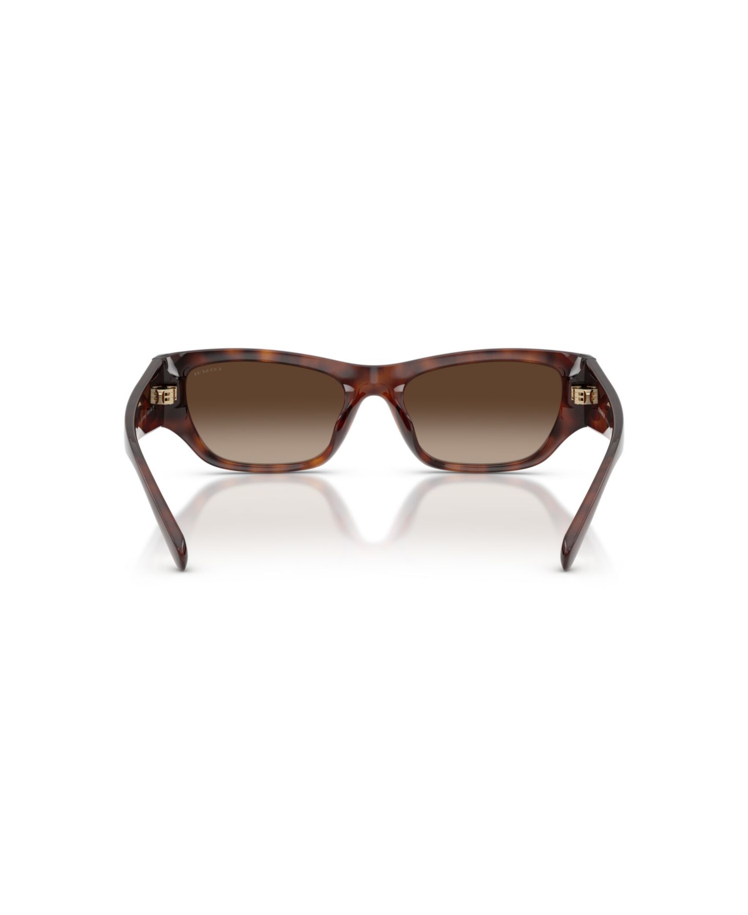 Polarized Cat-Eye Sunglasses HC8470D