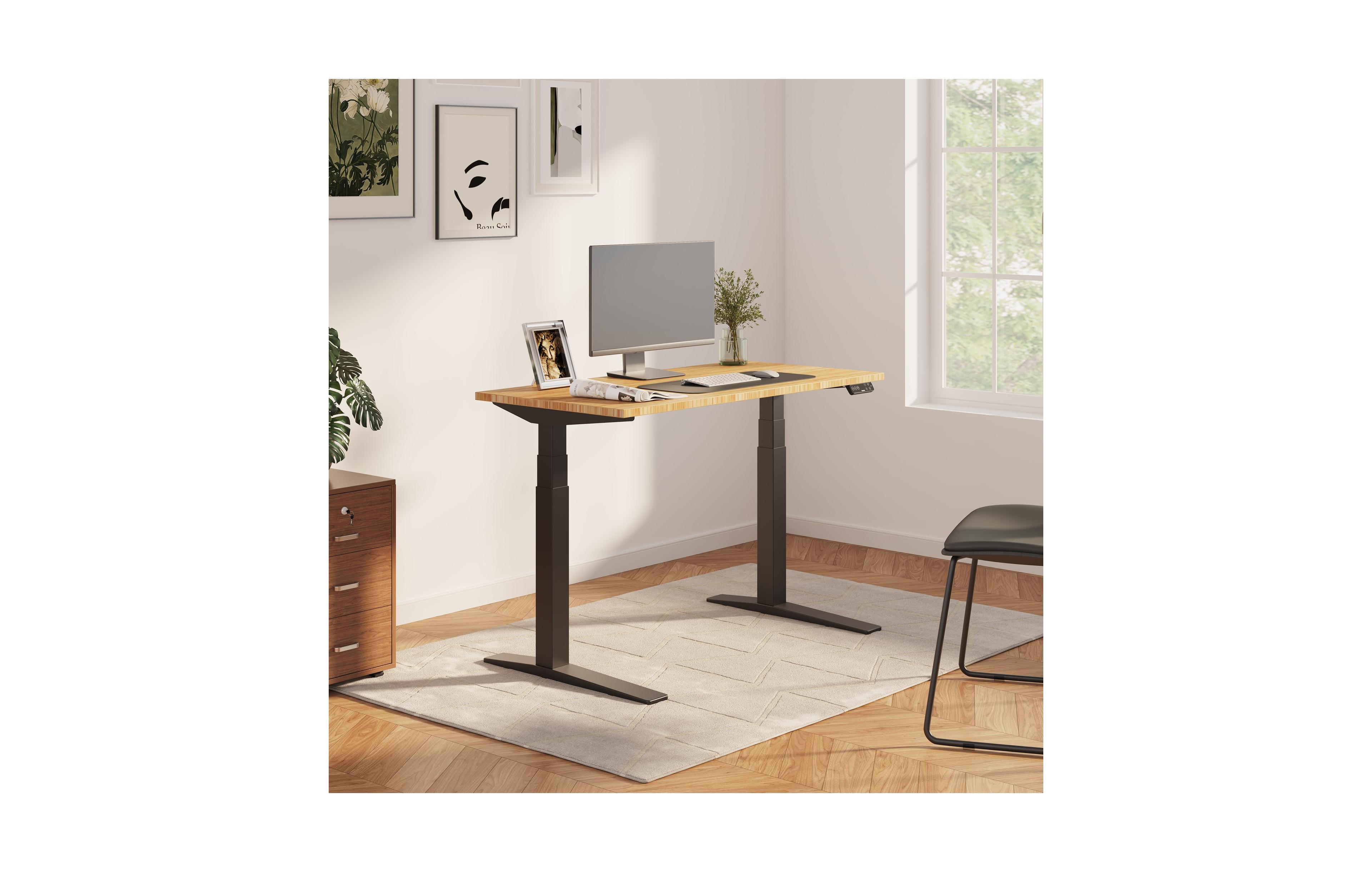 Flexispot E7 Pro Premium Standing Desk, Frame and Bamboo Top
