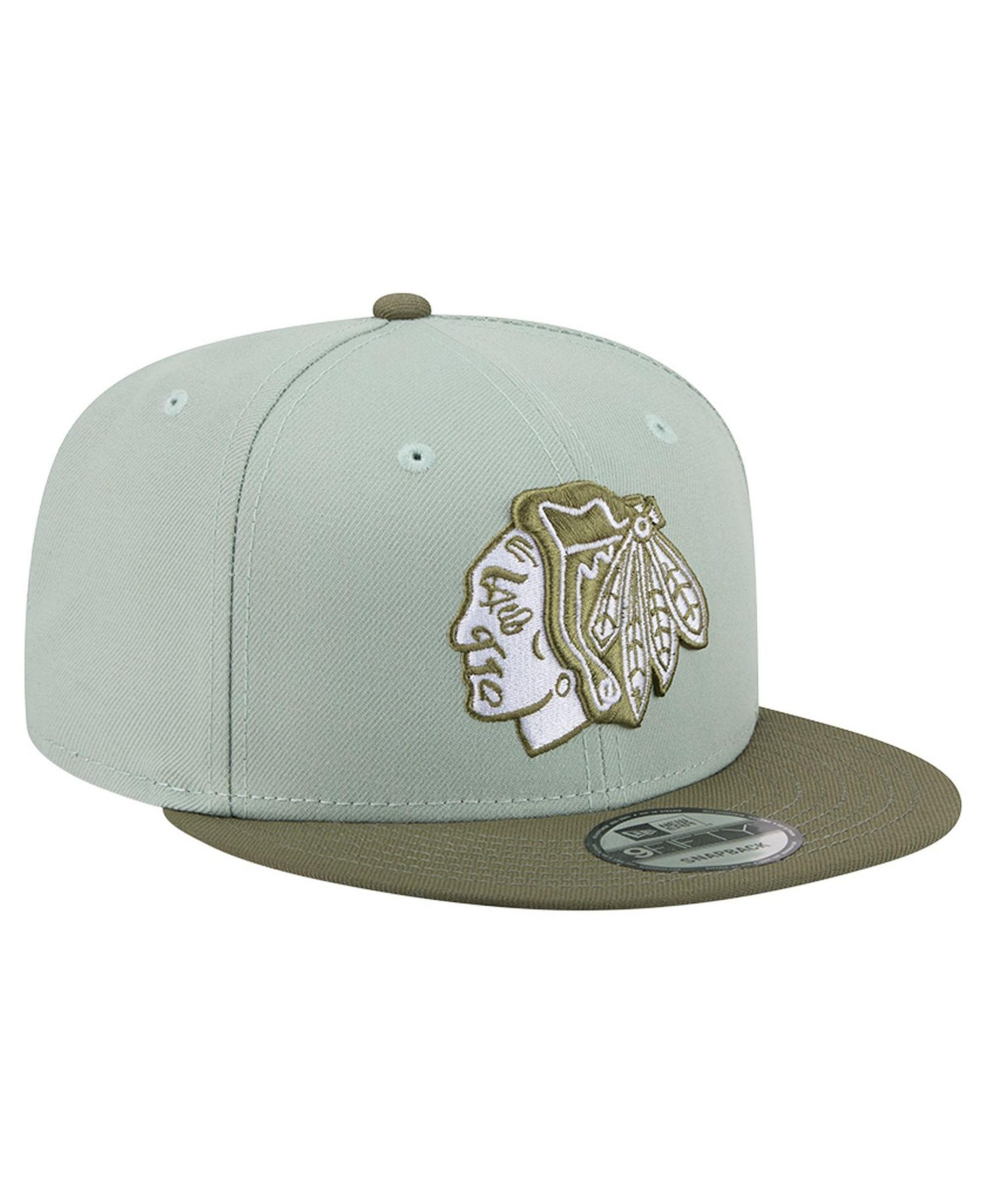 Men's Sage Green/Olive Chicago Blackhawks Color Pack 9FIFTY Snapback Hat