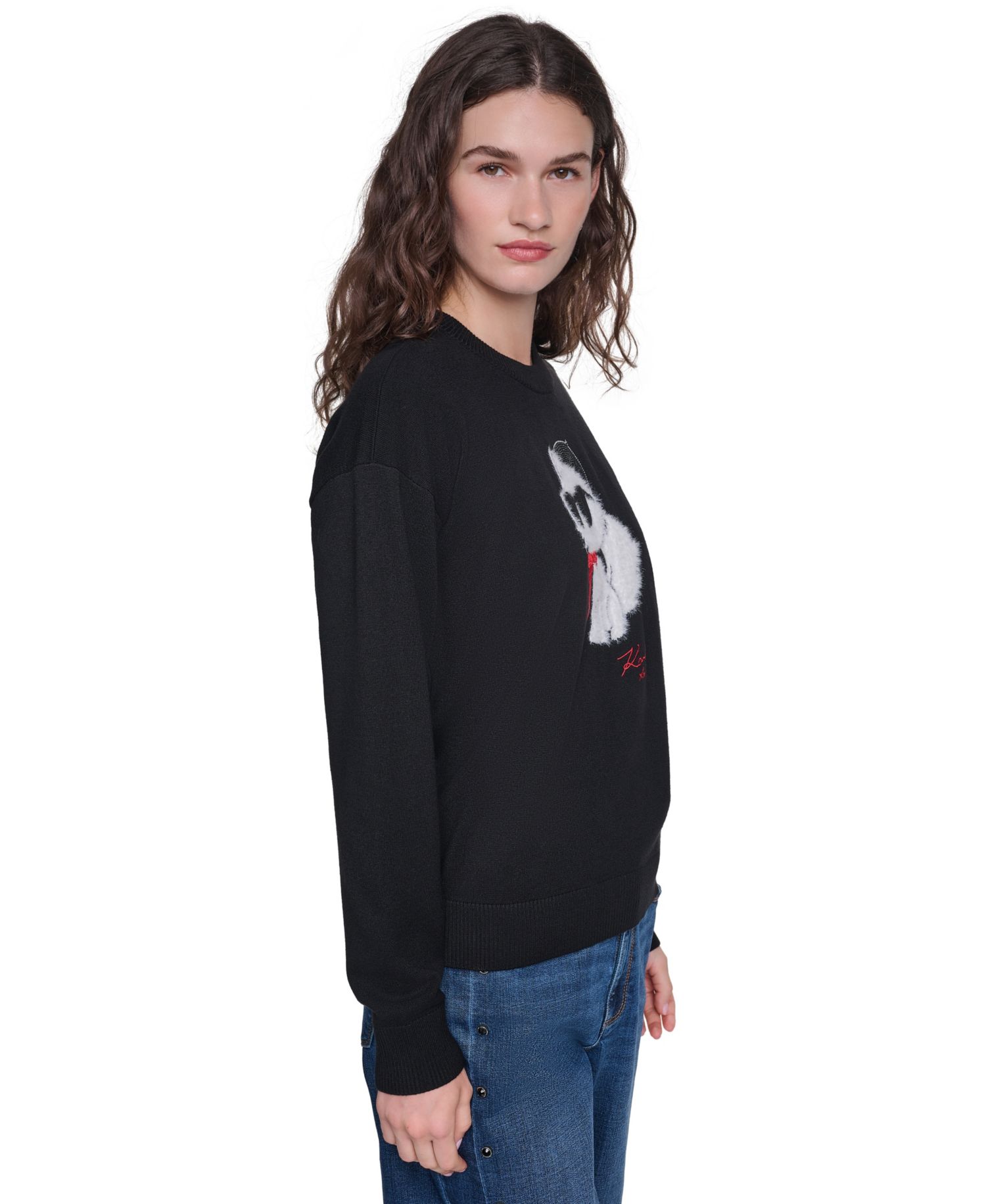 Women's Choupette in Beret Fitted Graphic Crewneck Pullover Sweater