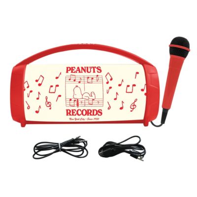 Bluetooth Speaker with Microphone, Bluetooth 5.0, USB, SD card, Aux-in, TWS function, Wired microphone included, BTP585PNZ