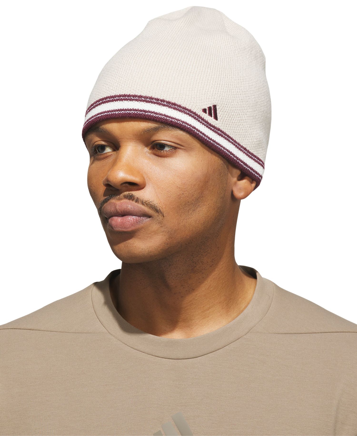 Men's Stripe Skully Beanie