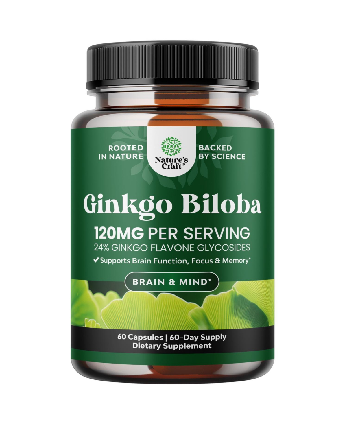 Nature's Craft Ginkgo Biloba Capsules, 120mg Per Serving, Standardized Ginkgo Leaf Extract, Herbal Supplement, 60 Count