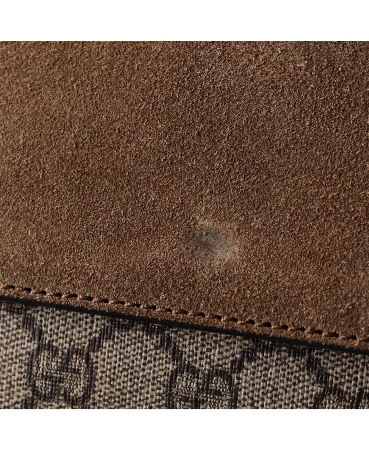 Dionysus Small GG Coated Canvas Shoulder Bag