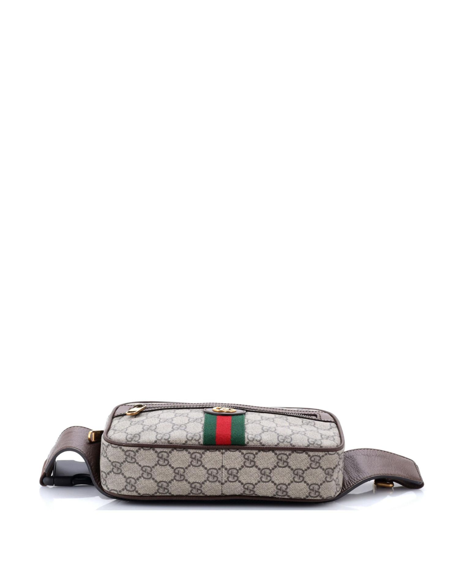 Ophidia Belt Bag