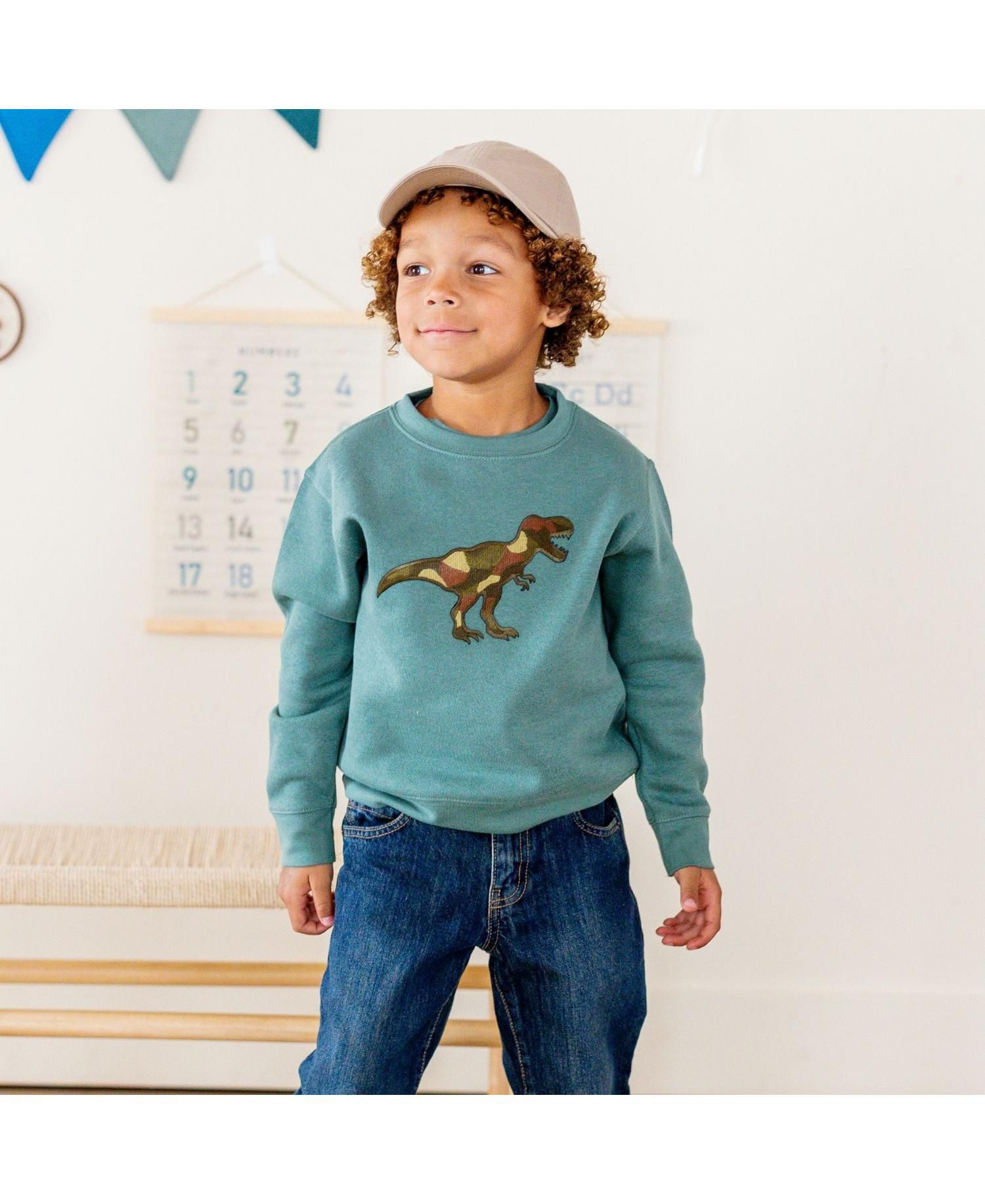 Baby Boys Camo Dino Patch Sweatshirt