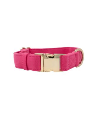 Dog Collar