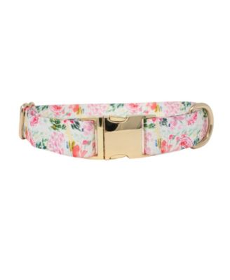 Dog Collar