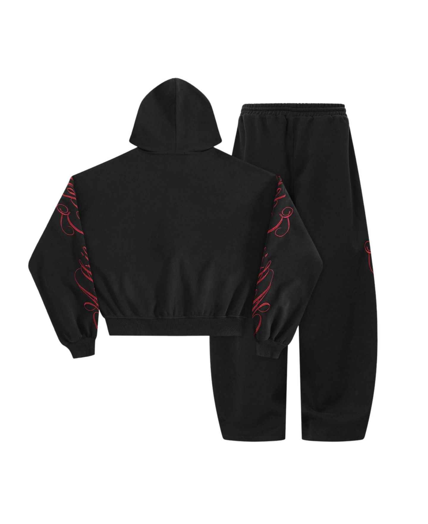 AELFRIC EDEN Women's Boxy Script Embroidery Hoodie and Pants, 2-Piece Set, цвет: Чёрный — фото 4